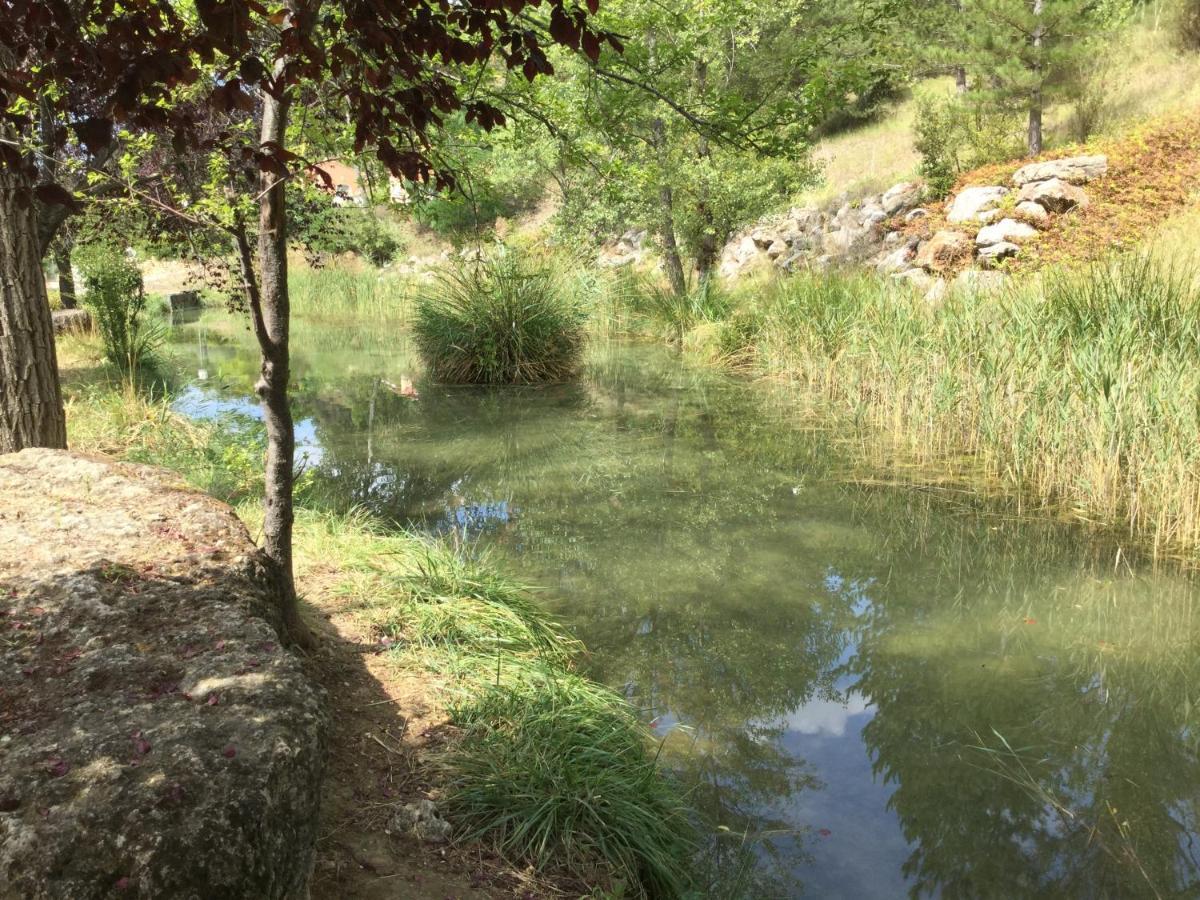 Mazet Tournesol Aux Portes Du Verdon Saint-Martin-de-Bromes Ngoại thất bức ảnh